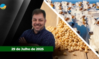 Fechamento de Mercado - Programa Completo