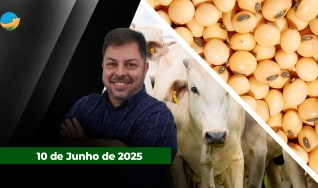 Fechamento de Mercado - Programa Completo