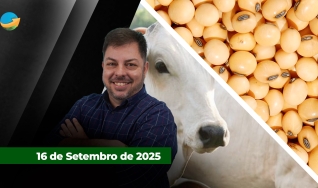 Fechamento de Mercado - Programa Completo