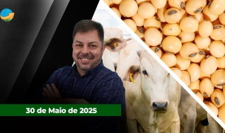 Fechamento de Mercado - Programa Completo
