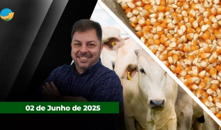 Fechamento de Mercado - Programa Completo