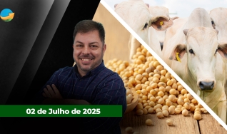 Fechamento de Mercado - Programa Completo