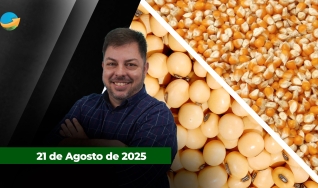 Fechamento de Mercado - Programa Completo