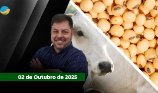 Fechamento de Mercado - Programa Completo