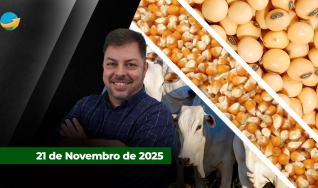 Fechamento de Mercado - Programa Completo