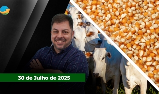 Fechamento de Mercado - Programa Completo