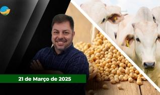 Fechamento de Mercado - Com Aleksander Horta