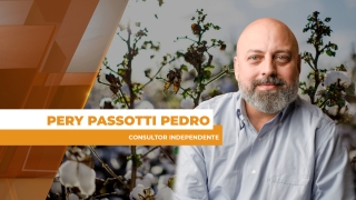 Pery Passotti Pedro - Consultor Independente