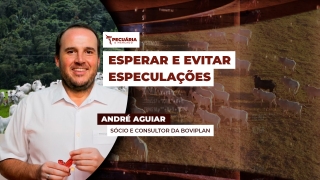 André Aguiar - Sócio e Consultor da Boviplan