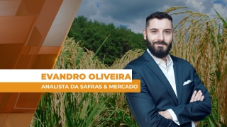 Evandro Oliveira - Analista da Safras & Mercado