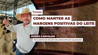Áureo Carvalho - Pecuarista na Região de Santa Rita de Caldas/MG