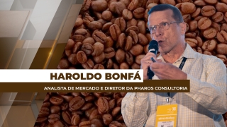 Haroldo Bonfá - Analista de Mercado e Diretor da Pharos Consultoria