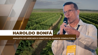 Haroldo Bonfá - Analista de Mercado e Diretor da Pharos Consultoria