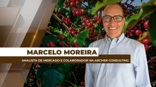 Marcelo Moreira - Analista de Mercado e Colaborador na Archer Consulting