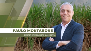 Paulo Montabone - Diretor da Fenasucro & Agrocana
