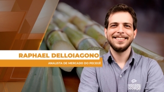 Raphael Delloiagono - Analista de Mercado do Pecegê