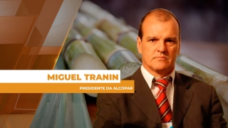 Miguel Tranin - Presidente da Alcopar