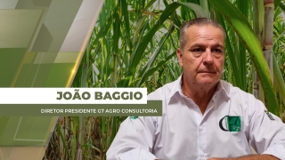 João Baggio - Diretor Presidente  G7 Agro Consultoria