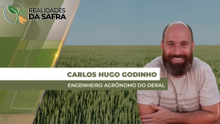 Carlos Hugo Godinho - Engenheiro Agrônomo do Deral
