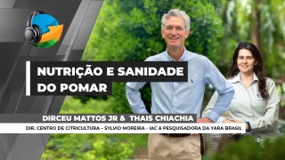 Podcast do NA - com Aleksander Horta