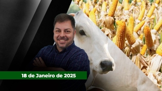 Fechamento de Mercado - Programa Completo