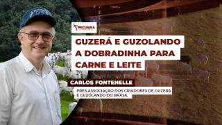 Carlos Fontenelle - Presidente da Associação dos Criadores de Guzerá e Guzolando do Brasil