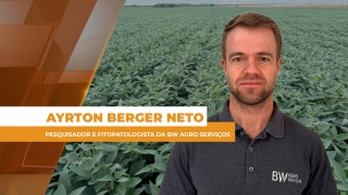 Ayrton Berger Neto - Pesquisador e Fitopatologista da Bw Agro Serviços