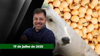 Fechamento de Mercado - Programa Completo