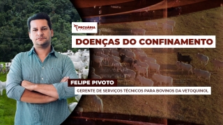 Felipe Pivoto - Gerente de Serviços Técnicos para Bovinos da  Vetoquinol