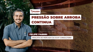 Felipe Fabbri - Analista de Mercado da Scot Consultoria