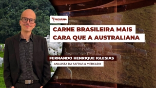 Fernando Henrique Iglesias - Analista da Safras & Mercado