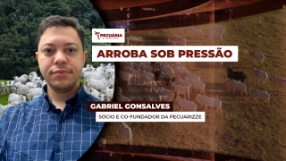 Gabriel Gonsalves - Sócio e Co-Fundador da Pecuarizze