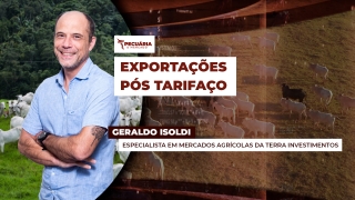 Geraldo Isoldi - Especialista em Mercados Agrícolas da Terra Investimentos