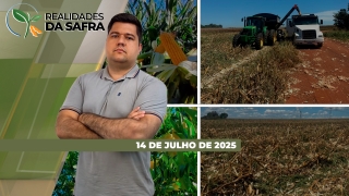 Realidades da Safra - Notícias Agrícolas