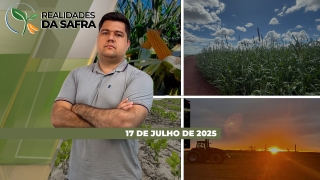 Realidades da Safra - Notícias Agrícolas