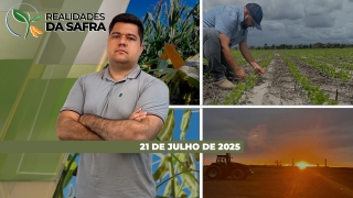 Realidades da Safra - Notícias Agrícolas