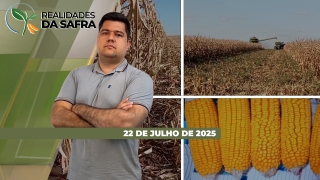 Realidades da Safra - Notícias Agrícolas
