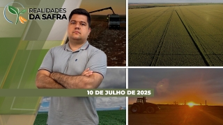 Realidades da Safra - Notícias Agrícolas