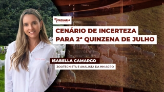 Isabella Camargo - Zootecnista e analista da HN Agro