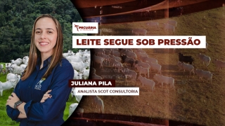 Juliana Pila - Analista Scot Consultoria