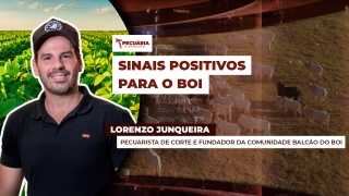 Lorenzo Junqueira - Pecuarista de corte e fundador da comunidade Balcão do Boi