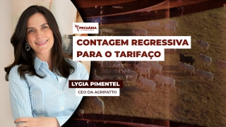 Lygia Pimentel - CEO da Agrifatto