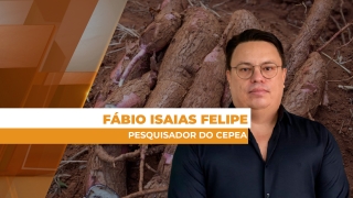 Fábio Isaias Felipe - Pesquisador do Cepea