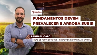Raphael Galo - Head de Agronegócios e Mercado de Capitais na A7 Capital