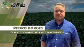 Pedro Borges - Gerente de Marketing Enlist no Cerrado