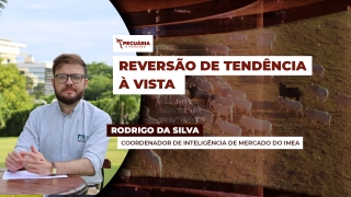 Rodrigo da Silva - Coordenador de Inteligencia de Mercado do IMEA