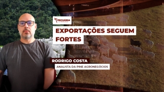 Rodrigo Costa - Analista da PINE Agronegócios e Contribuidor no TC Investimentos