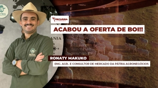 Ronaty Makuko - Eng. Agrôn. e Consultor de Mercardo da Pátria Agronegócios