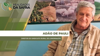 Adão de Pauli - Diretor do Sindicato Rural de Londrina/PR