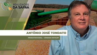Antônio José Tondato - Produtor Rural - Cândido Mota/SP